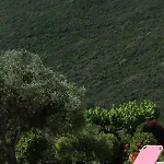 Villa Pantheon & Danae Luxury Syvota