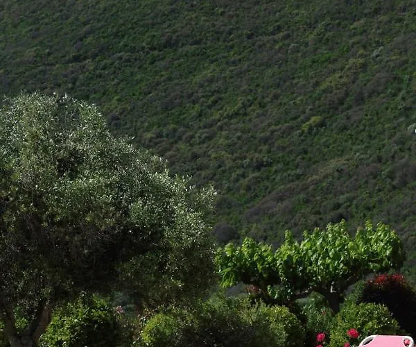 Villa Pantheon & Danae Luxury Sivota